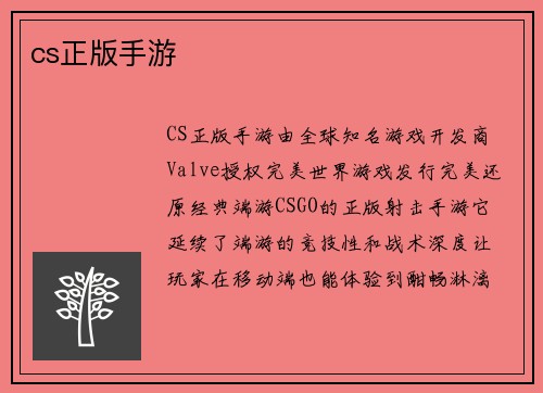 cs正版手游